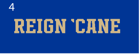 REIGN 'CANE wordmark, gold on blue variant, cell 34