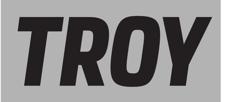 TROY wordmark, black on silver variant