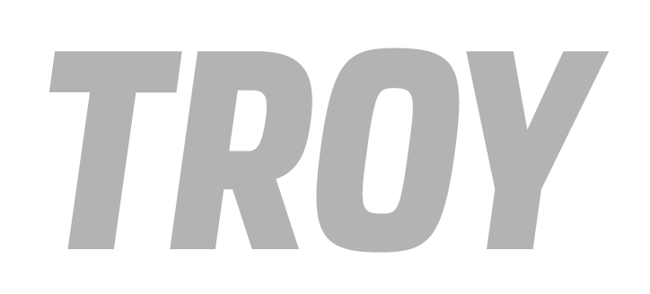 TROY wordmark, silver variant