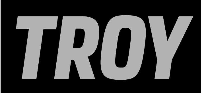 TROY wordmark, silver on black variant
