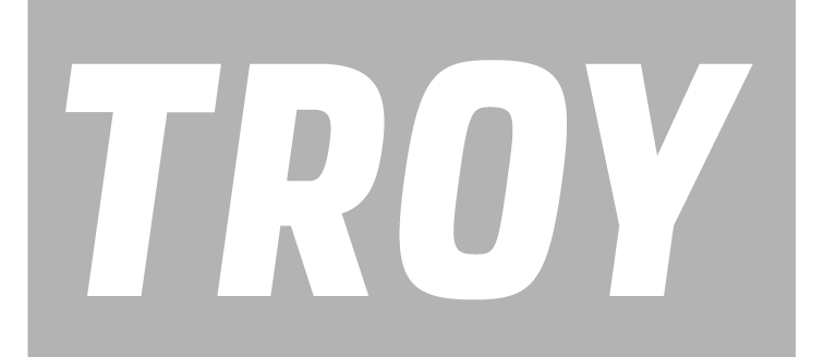 TROY wordmark, white with grey outline on grey background variant