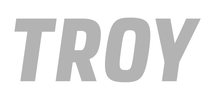 TROY wordmark, grey variant