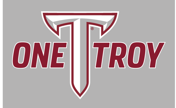 One TROY wordmark, full color on gray variant