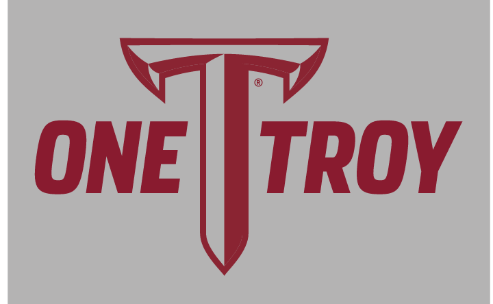 One TROY wordmark, one color on gray variant
