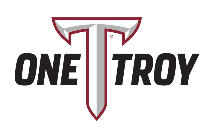 OneTROY MARK, black text with no outline variant