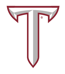 T lettermark, color variant
