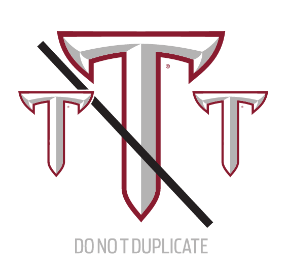 TROY logo, incorrect usage - do not duplicate variant