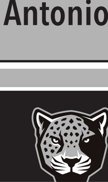 jaguar head with wordmark, horizontal, color variant, cell 15