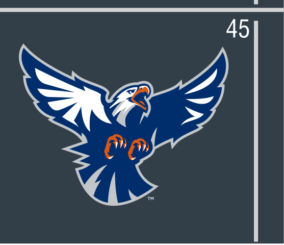 mascot body, blue and orange on dark variant, cell 45