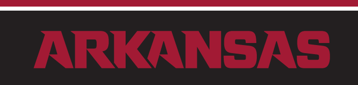 ARKANSAS wordmark, cardinal on black variant, cell 28