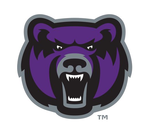 bear head, full color variant, cell 27