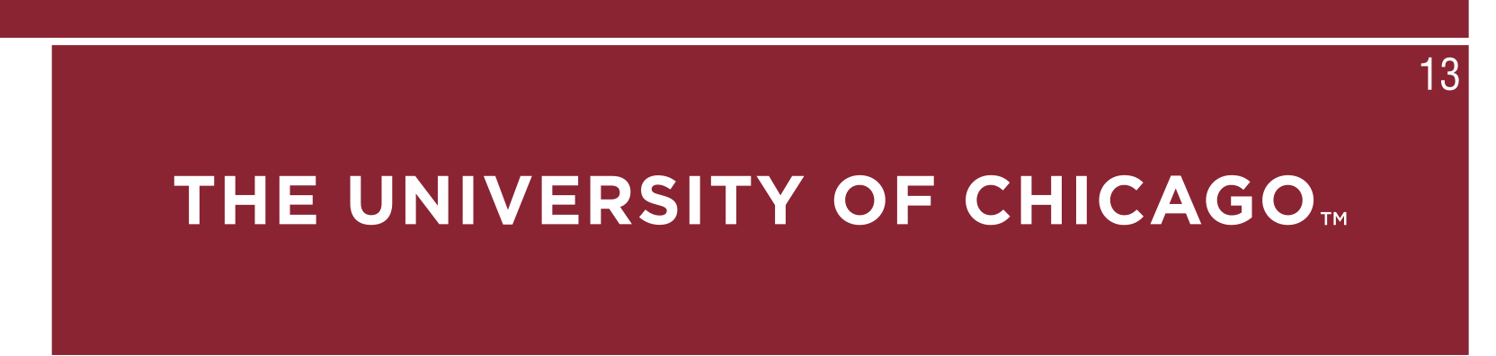 University of Chicago logotype, white on maroon horizontal variant, cell 13
