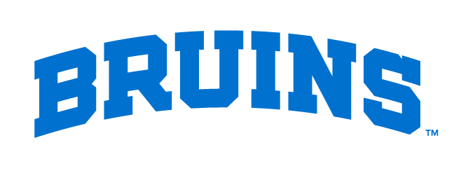 Bruins Block Arch, blue variant, cell 25