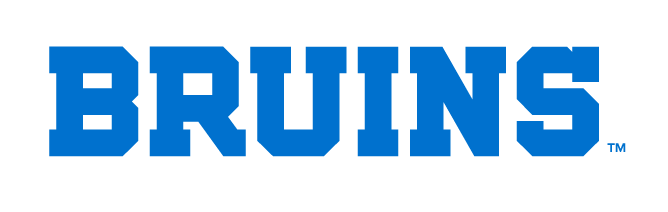 Bruins Block, blue variant, cell 29