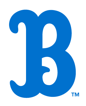 Bruins B, blue variant, cell 37