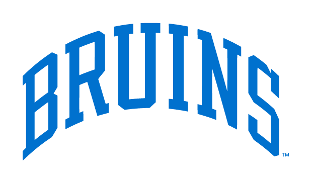 Bruins Condensed Block Arch, blue variant, cell 84