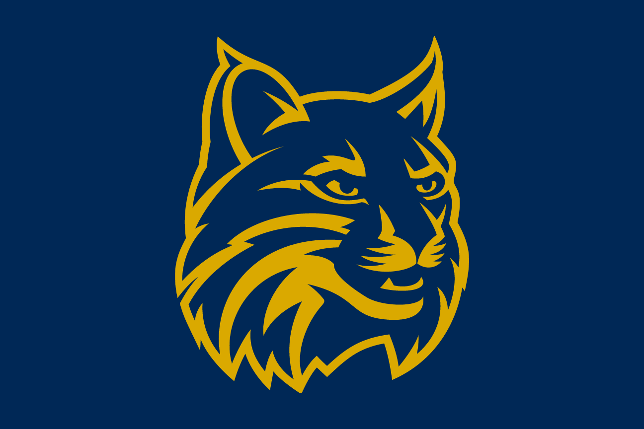 bobcat head, gold on navy variant, cell 36