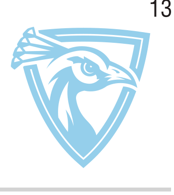 Peacock head, light blue variant, cell 13