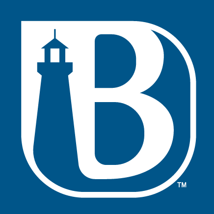 B lettermark, reverse color variant, cell 10