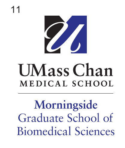 UMass Chan Medical School Morningside Graduate School of Biomedical Sciences, vertical, color variant, cell 11