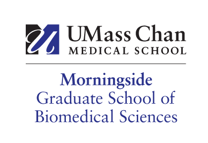 UMass Chan Medical School Morningside Graduate School of Biomedical Sciences, horizontal, color variant, cell 13