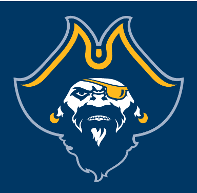 Corsair head, full color on navy background variant, cell 2