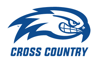 River Hawk head, blue and white with Cross Country text variant, cell 81