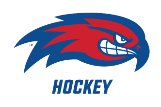 River Hawk head with HOCKEY text, full color variant, cell 91