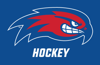 River Hawk head with HOCKEY text, full color on blue background variant, cell 92