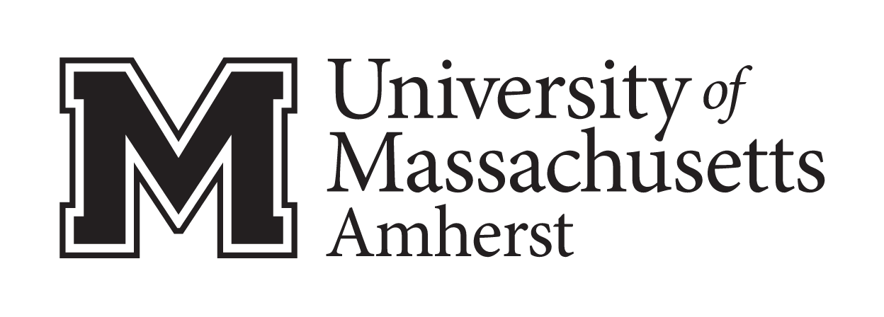University of Massachusetts Amherst lockup, black variant, cell 3
