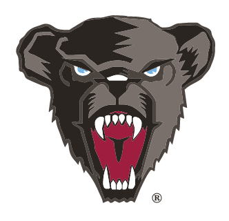 Maine Black Bears bear head logo, full color variant, cell 10