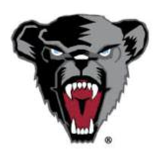 Bear head, full color variant