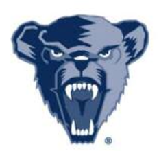 Bear head, dark blue screen variant