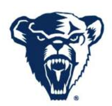 Bear head, dark blue variant