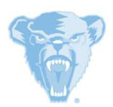 Bear head, light blue screen variant
