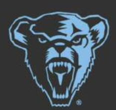 Bear head, light blue variant