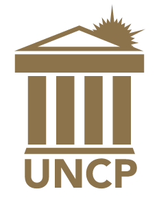 UNC Pembroke primary vertical logo, gold variant, cell 8
