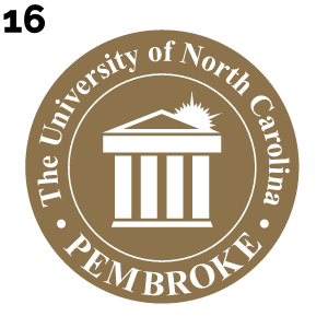 UNC Pembroke primary circular logo, gold variant, cell 16