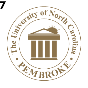 UNC Pembroke primary circular logo, gold variant, cell 17