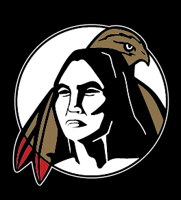 Braves Head logo, full color on black variant, cell 30