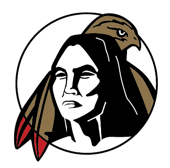 Braves Head logo, black, white, and gold variant