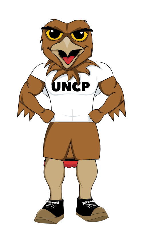 BraveHawk mascot logo, full color variant