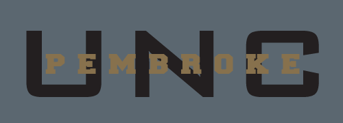 UNC Pembroke wordmark, black/gold on grey variant, cell 30