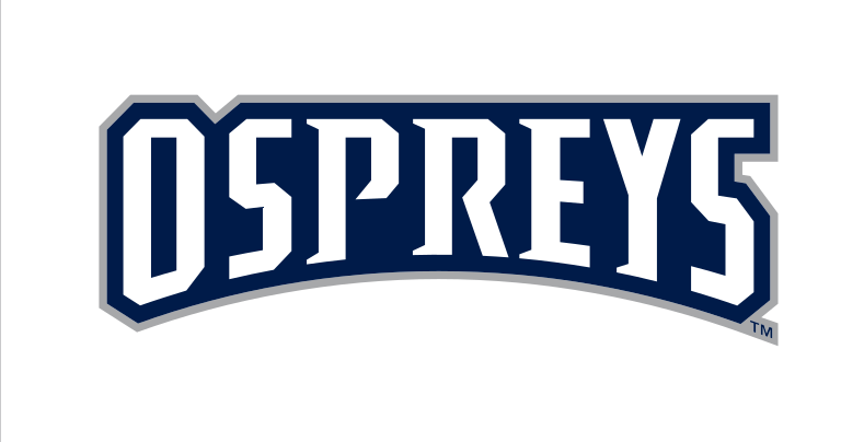 Ospreys Wordmark, full color variant, cell 10
