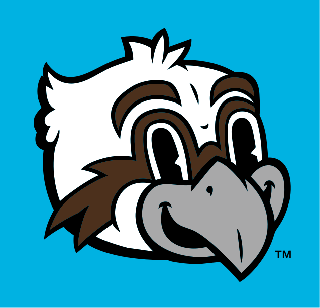 Ozzie Mascot Logo Head, Full Color on Aqua Blue variant, cell 43