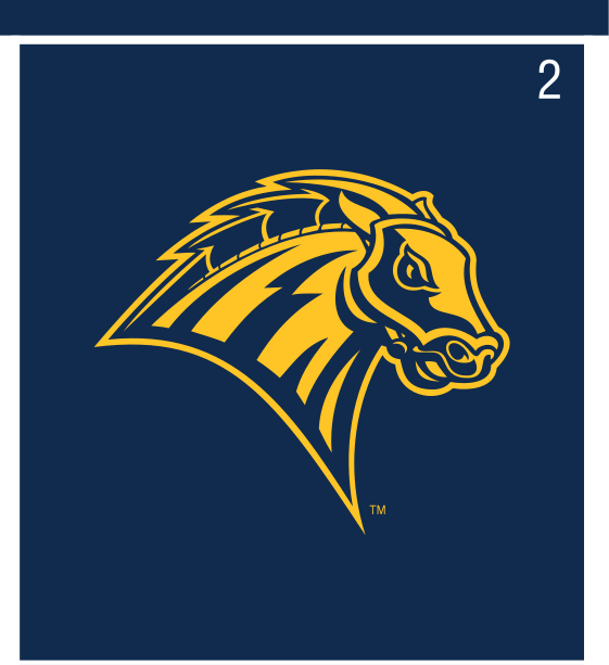 Charger head, full color on navy variant, cell 2