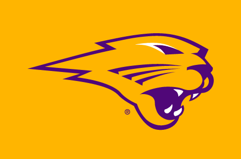 panther head, purple with yellow outline variant, cell 15