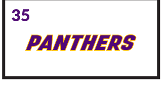 PANTHERS wordmark, purple with yellow outline variant, cell 35