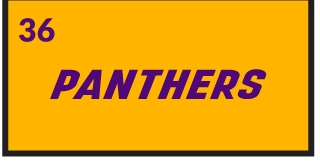 PANTHERS wordmark, purple variant, cell 36