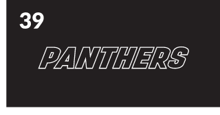 PANTHERS wordmark, white outline variant, cell 39